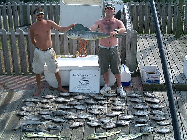 Navigator fishing, charter fishing, Cheseapeak Bay Virginia, Virginia Beach Virginia, Virginia, charter boat, bait, fishing, sailing, charters